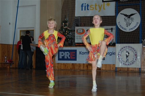 Obrázek v galerii