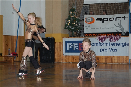 Obrázek v galerii