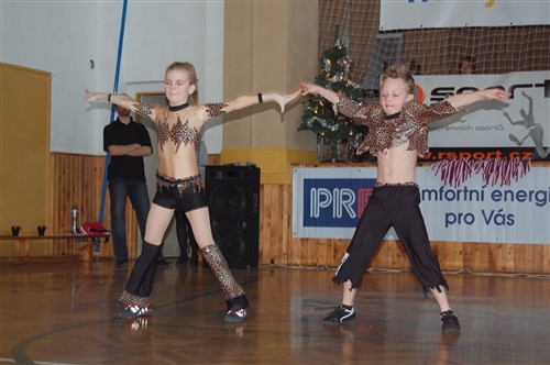 Obrázek v galerii