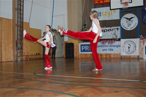 Obrázek v galerii