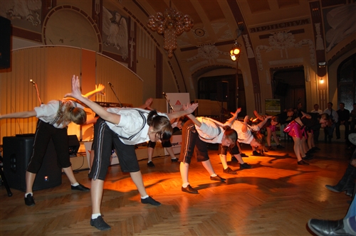 Obrázek v galerii