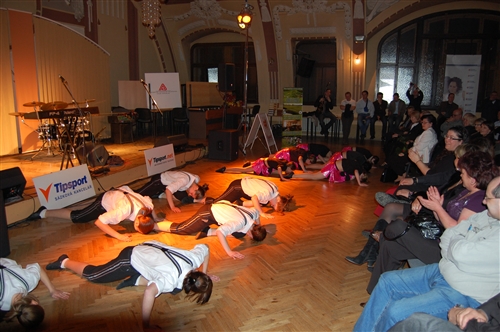 Obrázek v galerii