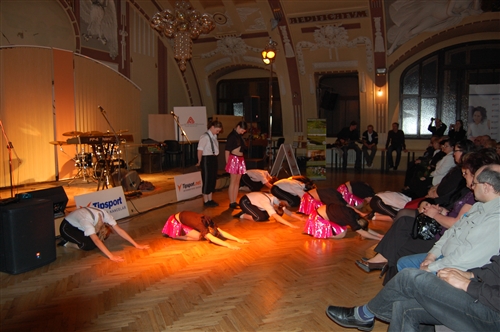 Obrázek v galerii