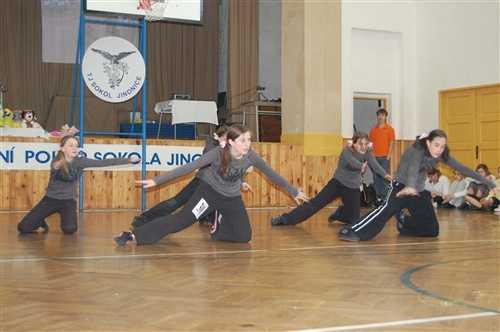 Obrázek v galerii