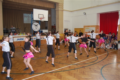 Obrázek v galerii