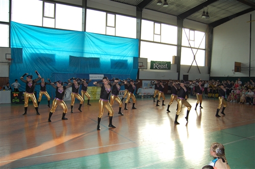 Obrázek v galerii