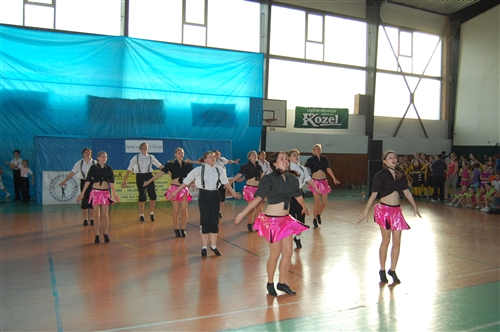 Obrázek v galerii