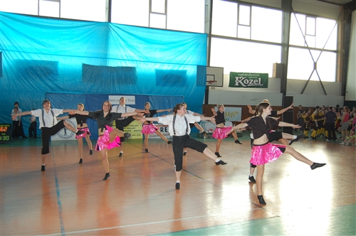 Obrázek v galerii