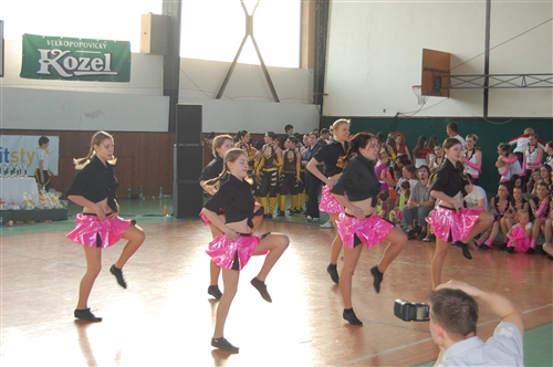 Obrázek v galerii