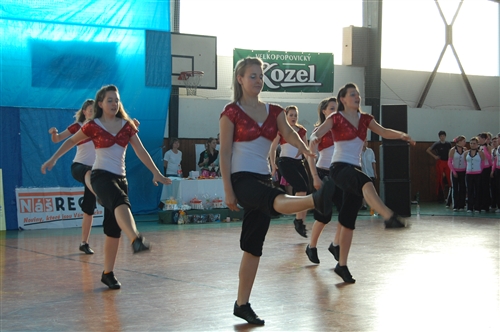 Obrázek v galerii