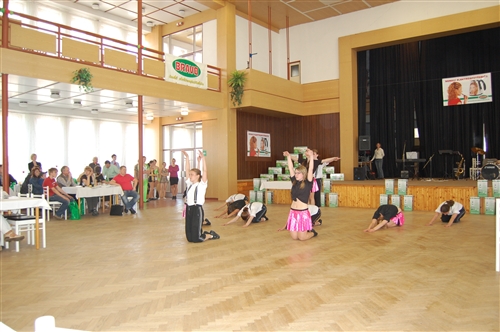 Obrázek v galerii