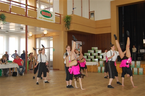 Obrázek v galerii
