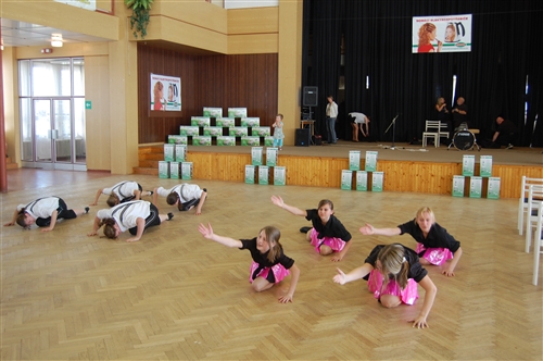 Obrázek v galerii