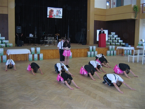 Obrázek v galerii