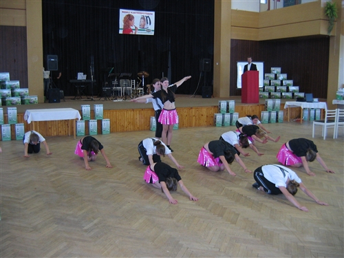 Obrázek v galerii