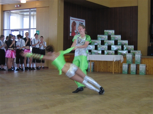 Obrázek v galerii