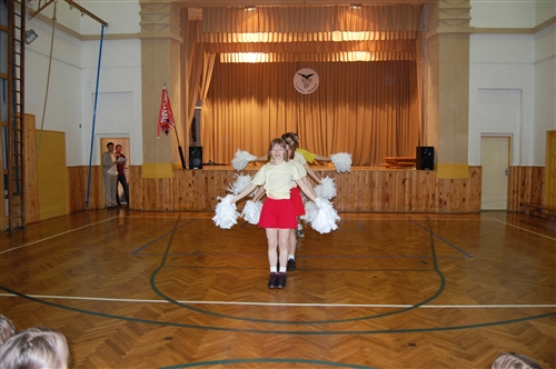 Obrázek v galerii