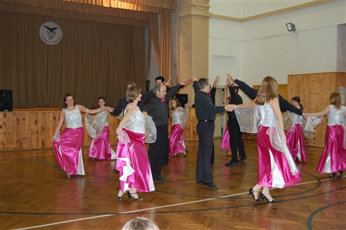 Obrázek v galerii