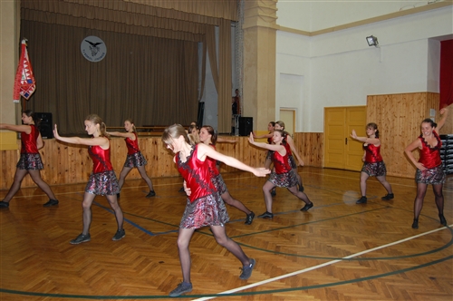 Obrázek v galerii