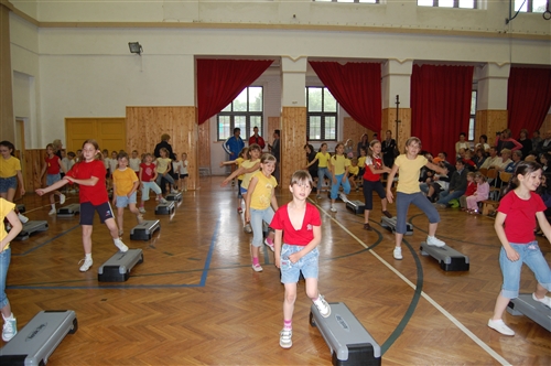 Obrázek v galerii