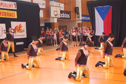 Obrázek v galerii