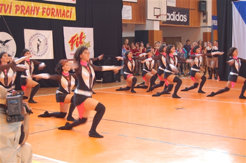 Obrázek v galerii