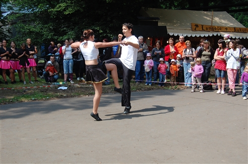 Obrázek v galerii