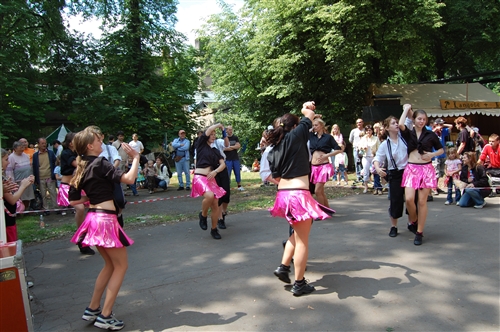 Obrázek v galerii