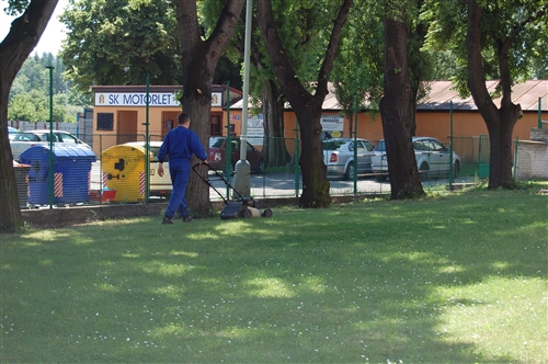 Obrázek v galerii