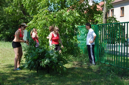 Obrázek v galerii