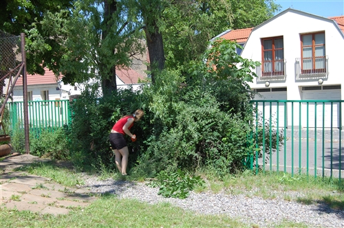 Obrázek v galerii