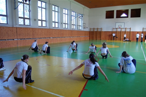 Obrázek v galerii
