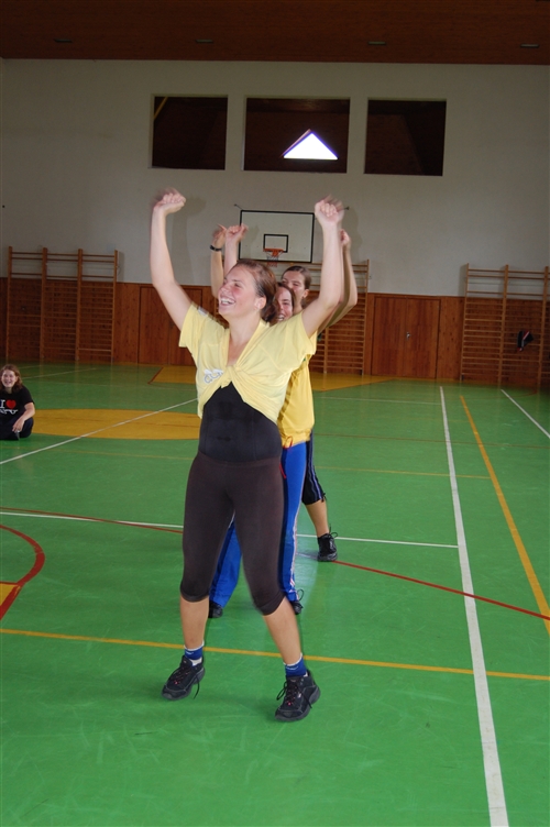 Obrázek v galerii