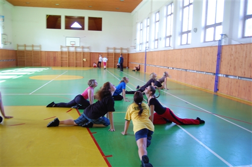 Obrázek v galerii