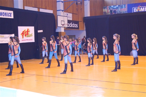 Obrázek v galerii