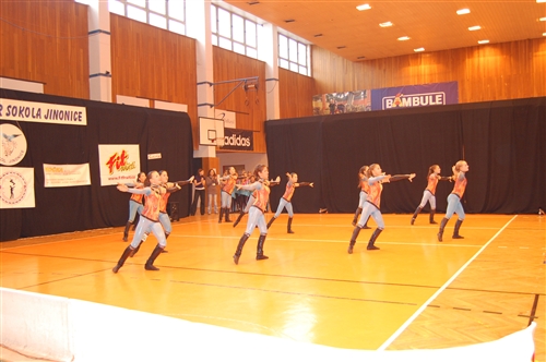 Obrázek v galerii