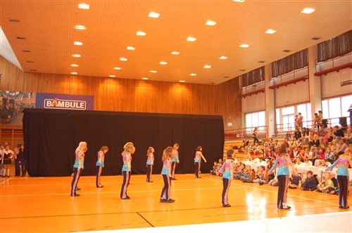 Obrázek v galerii