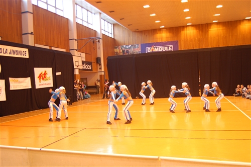 Obrázek v galerii