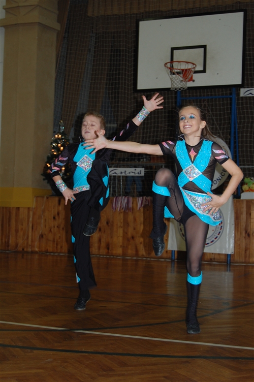 Obrázek v galerii