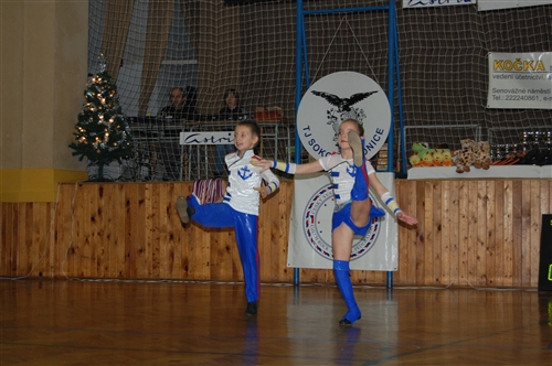 Obrázek v galerii