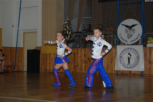 Obrázek v galerii