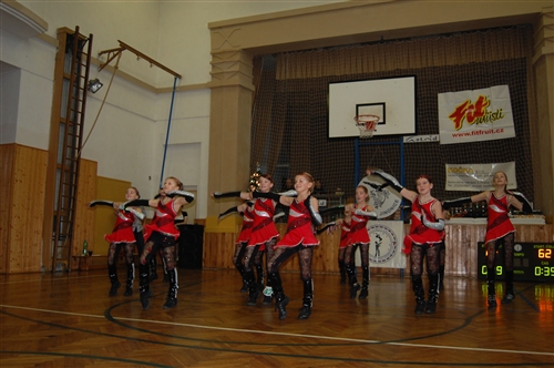 Obrázek v galerii