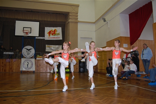 Obrázek v galerii
