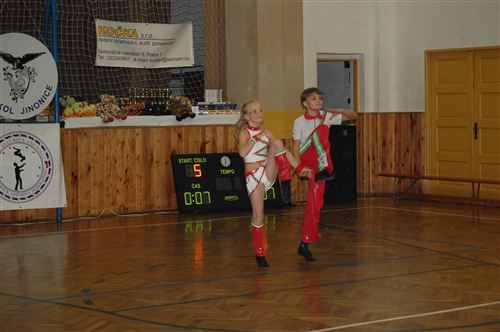 Obrázek v galerii