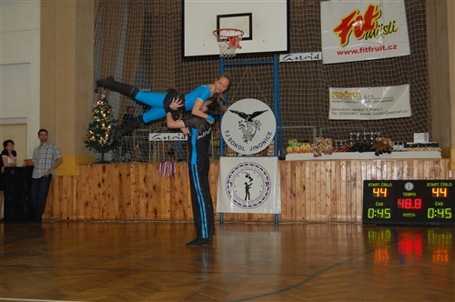 Obrázek v galerii