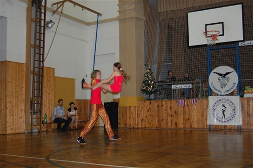 Obrázek v galerii