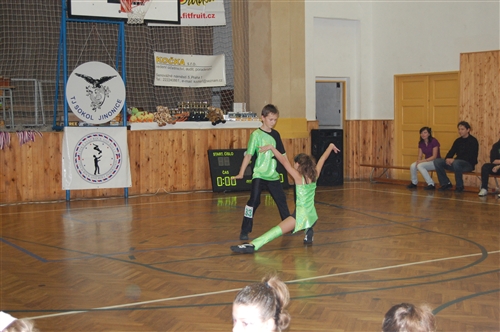 Obrázek v galerii