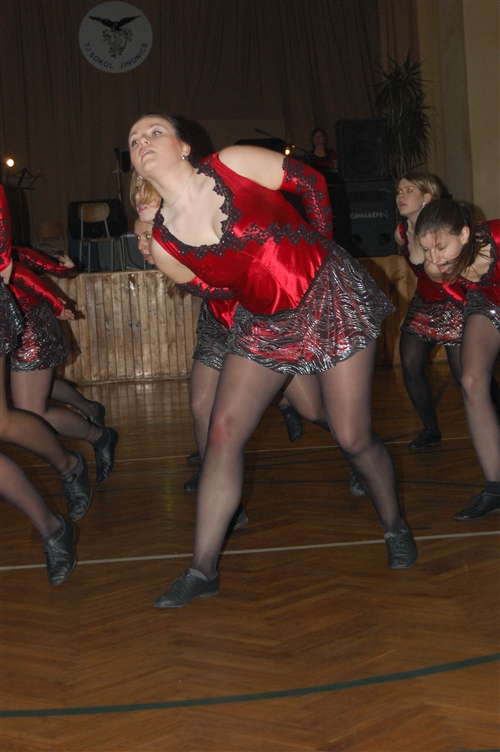 Obrázek v galerii
