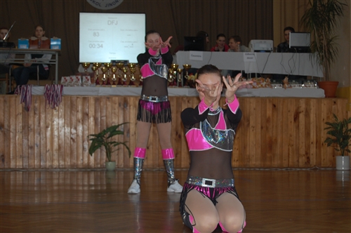 Obrázek v galerii