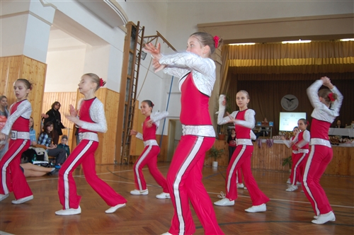 Obrázek v galerii
